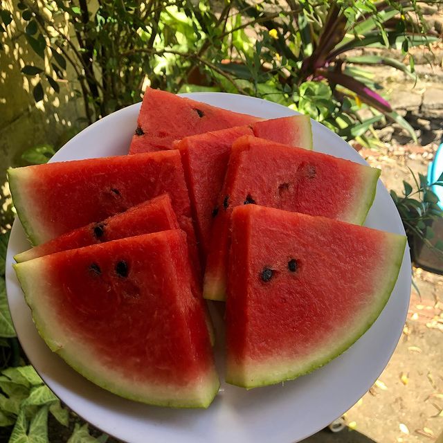 Photo by Gabriela Grande Cóbar on July 15, 2021. May be an image of fruit and outdoors.